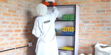 PRISM-Nyabihu: Succès dans la lutte contre la pauvreté