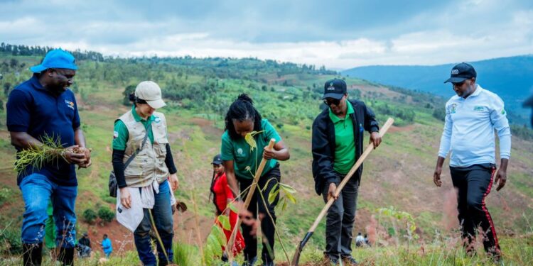 Rwanda : Umuganda, placé sous la triple commémoration environnementale