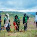 Rwanda : Umuganda, placé sous la triple commémoration environnementale