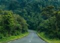 Rwanda : Reboisement pour contrer le changement climatique