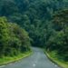 Rwanda : Reboisement pour contrer le changement climatique