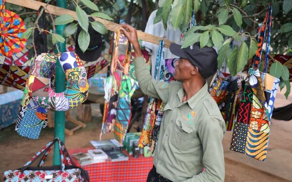 Parc d’Akagera: les entreprises locales encaissent environ 246 millions FWRs…
