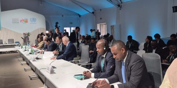 Rwanda- WUF13 : Développement des villes satellites