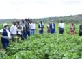 Kayonza-FARM P3 : vers la résilience alimentaire