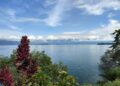 RDB-Lac Kivu : vers la transformation des îles en parc national