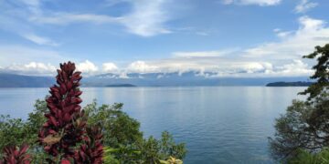 RDB-Lac Kivu : vers la transformation des îles en parc national