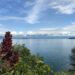 RDB-Lac Kivu : vers la transformation des îles en parc national