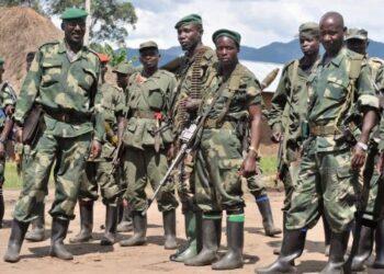 GCI demande la neutralisation des FDLR