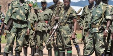GCI demande la neutralisation des FDLR