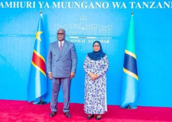 Tanzanie-RDC: renforcement des liens économiques