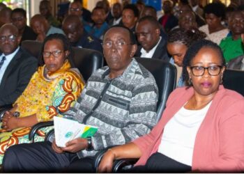 MINUBUMWE : Nyamagabe et Nyaruguru se remettent à l’endroit