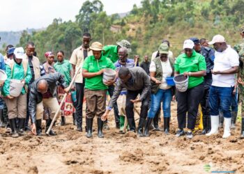 Rwanda : Lancement officiel de la saison agricole A